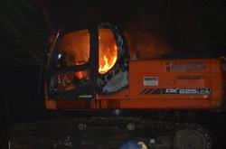 13731593_10154368250699407_1561042020407496211_n