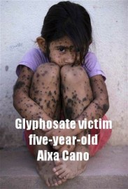 1383492_10151644216211386_1136164261_n1