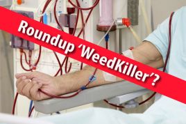 dramatic-increase-in-kidney-disease-in-the-us-and-abroad-linked-to-roundup-glyphosate-weedkiller-health-wellness-sott-net