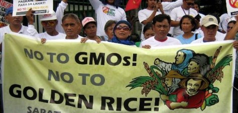 GMO-Rice_Filipinos-oppose_735_350_2-735x350