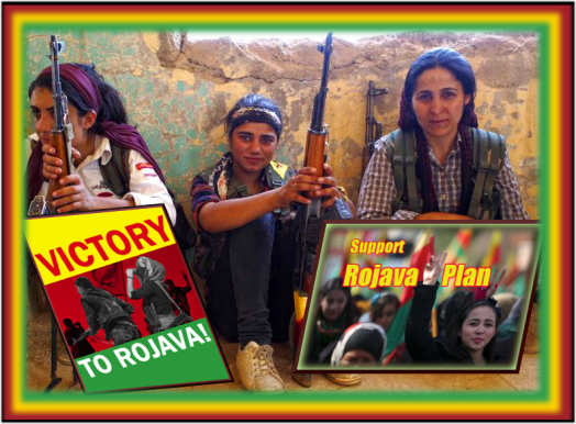 Rojava Revolution Plan: Organising and Funding Projects and Volunteers
