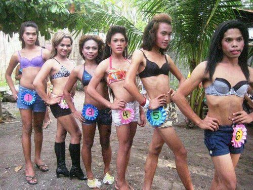 87dae740eb3e78b53a02e93f4e301b17