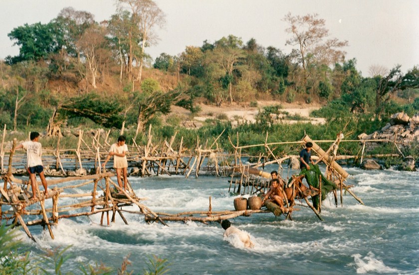 collecting_fish_from_a_tone_trap