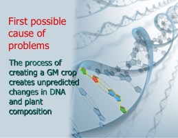 genetically-engineered-foods-31-728