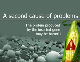 genetically-engineered-foods-42-728
