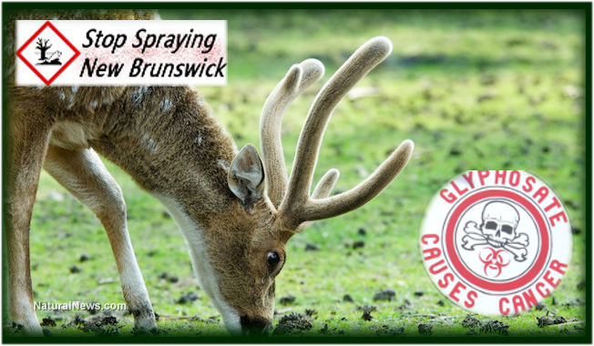 stop Monsanto spraying New Brunswick