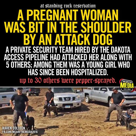 14238178_623238507857180_7165729850827657922_n