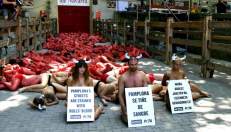 Spanish State forces Bullfighting on Catalans