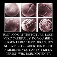 368bab58be7da9ce212202aa73736d36