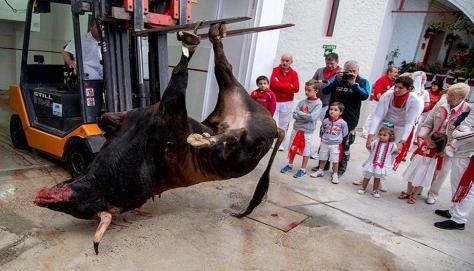 children are bloodied in the ''cultural heritage'' of torture