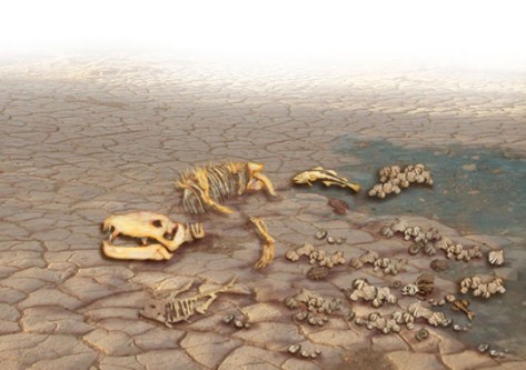 mass-extinction-540x380