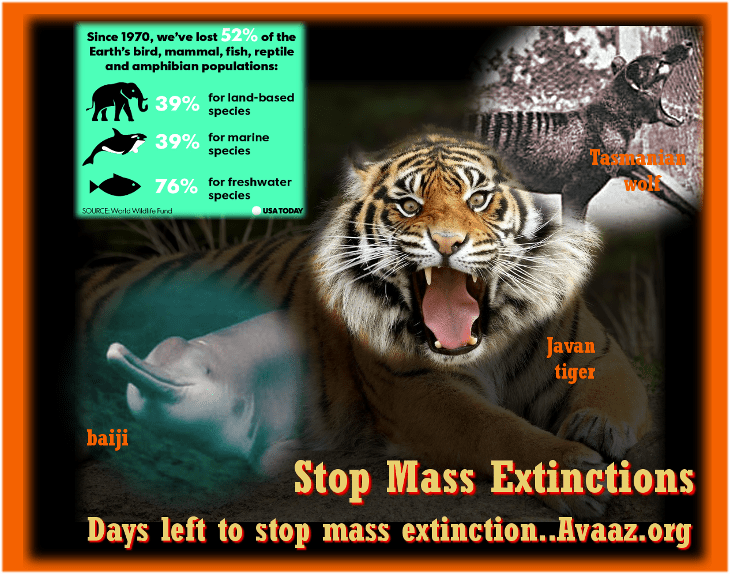 sstop-mass-extinctions