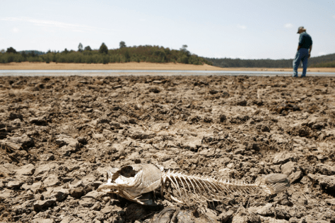 what_is_global_warming_costing_us