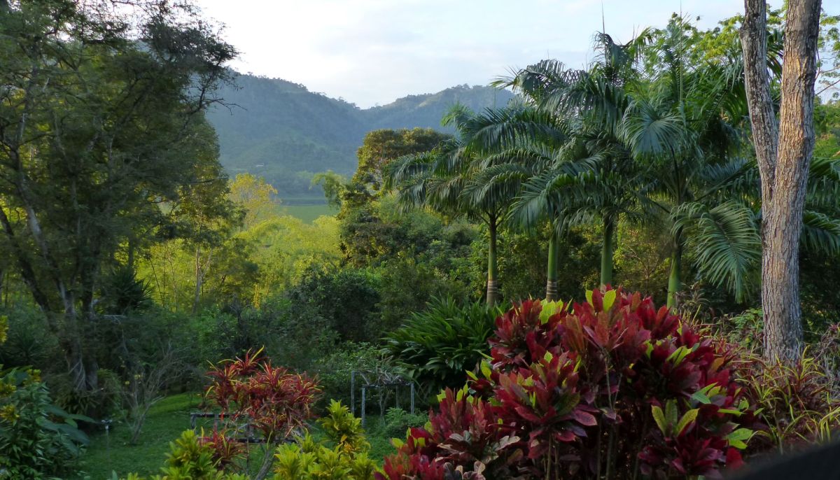 Shhhhh!  The Birds Also Live&nbsp;Here