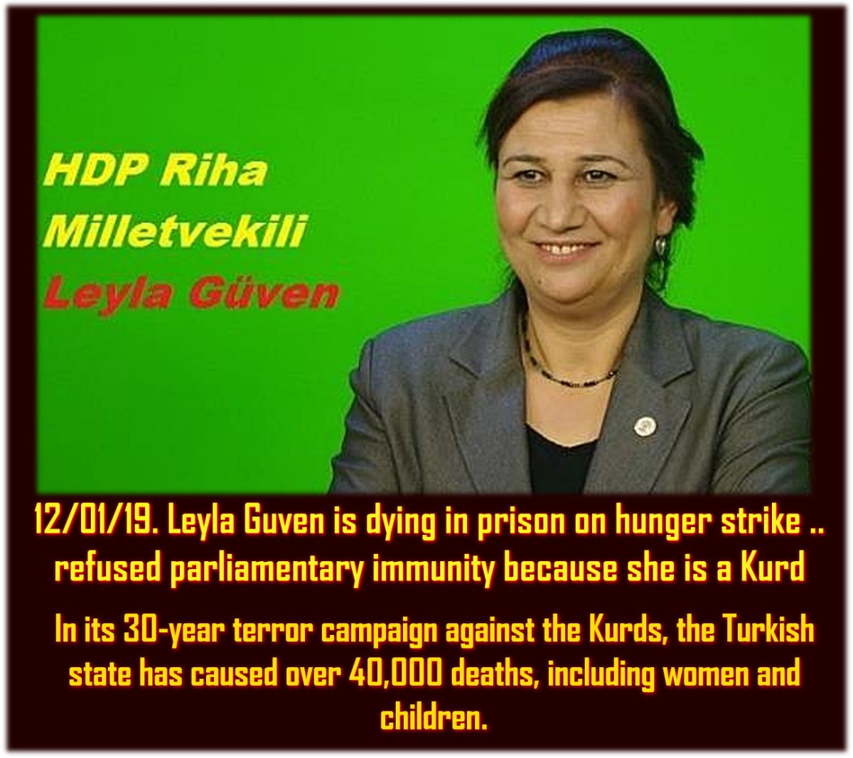 FREE Leyla Güven.. dying on Hunger Strike ..jailed for opposing Afrin&nbsp;Genocide