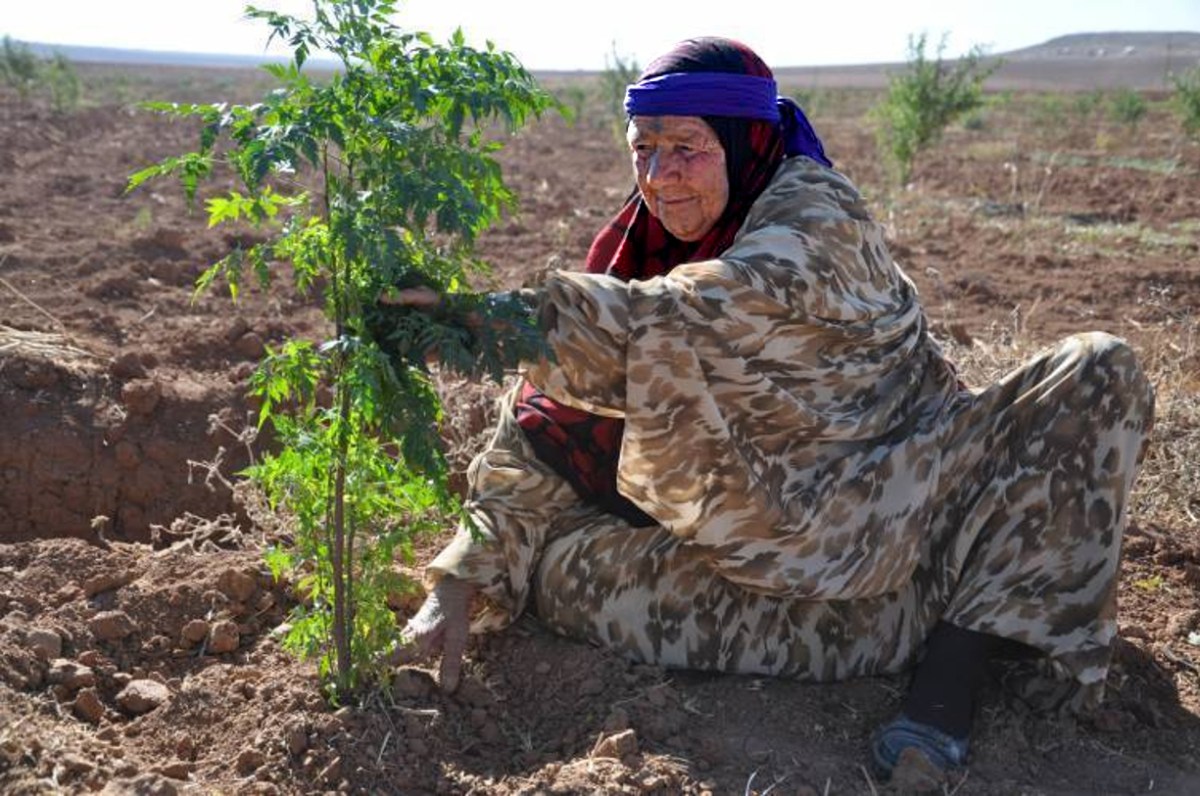 Ecology against Capitalism – Seeking a Renewed Relationship to&nbsp;Nature