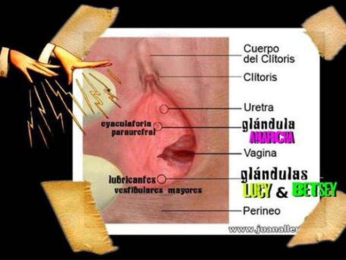 where is anarchagland,smaller