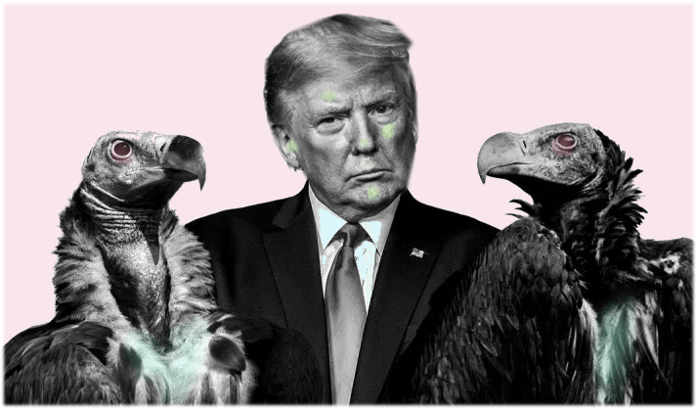 Capitalist Death Panels: If Corporate Vultures Get Their Way, We’ll Be Dead&nbsp;—