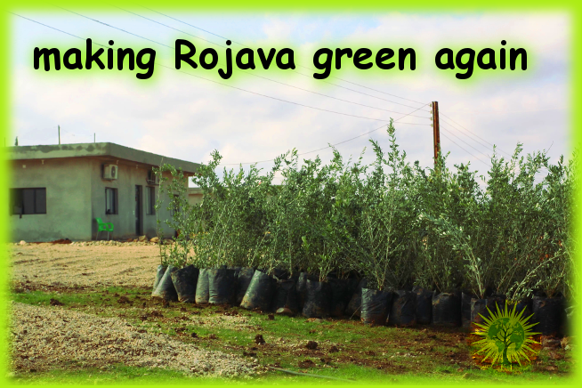 ‘”Make Rojava Green Again”.. read free here online or&nbsp;order