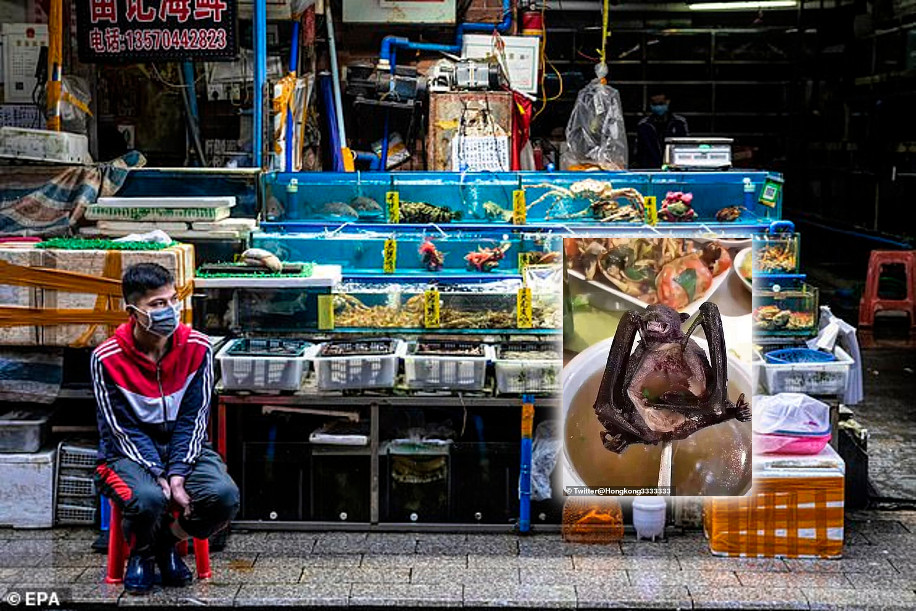 China:  Wuhan BANS eating wild animals for 5&nbsp;years