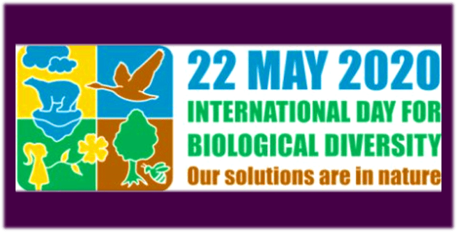 International Day for Biological Diversity .. Australia, 22&nbsp;May