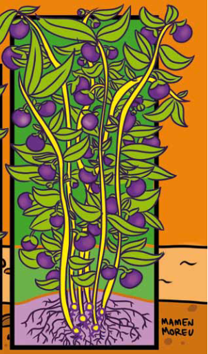 This image has an empty alt attribute; its file name is image-36.png