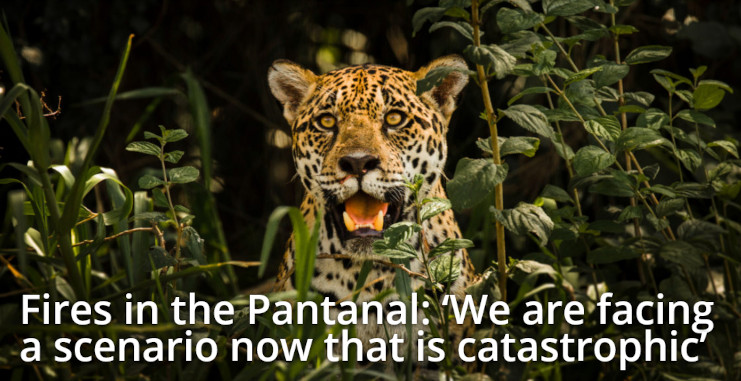 Trashing the Last Paradise. World’s biggest Pantanal Wetlands still&nbsp;Ablaze