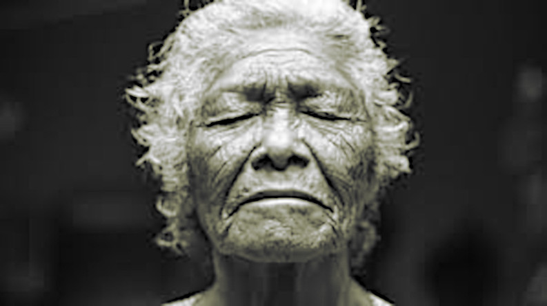 Drug Reverses Age-Related Mental Decline in mice Within&nbsp;Days