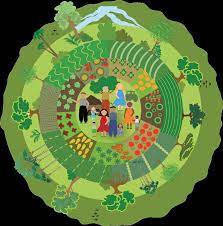 This image has an empty alt attribute; its file name is image.jpeg