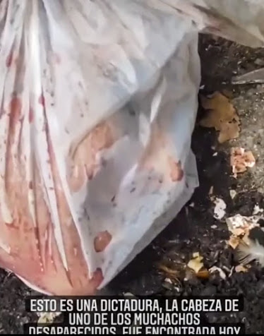 This image has an empty alt attribute; its file name is EL-ESTADO-COLOMBIANO-NOS-EST%25C3%2581-MATANDO-DESAPARECIDOS.jpeg