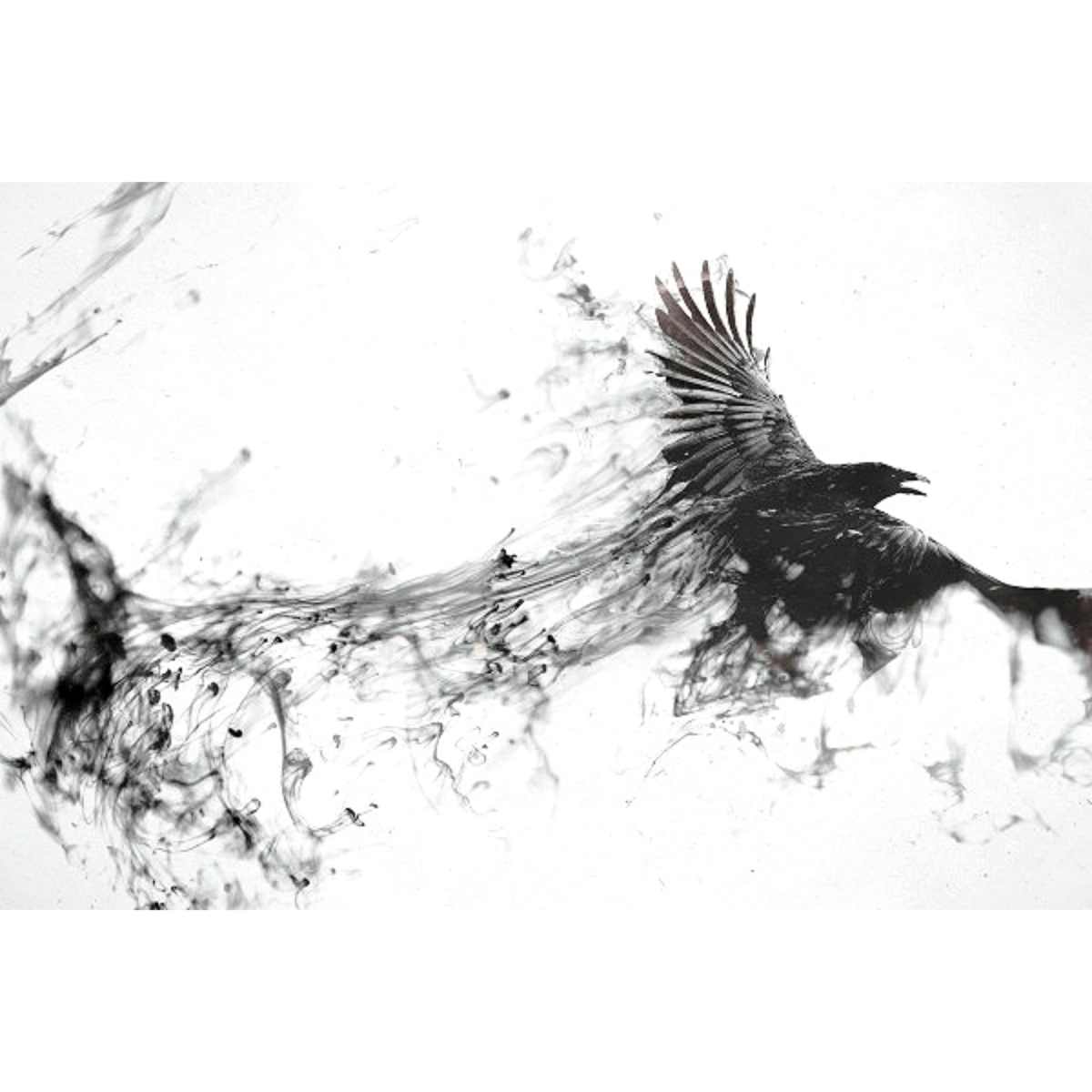 An Unkindness of&nbsp;Ravens