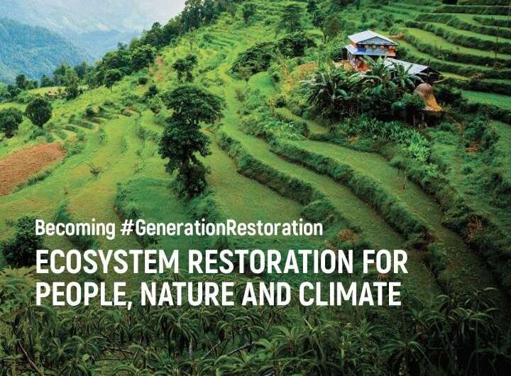 Intense restoration of nature needed to address climate, biodiversity and food insecurity&nbsp;crises