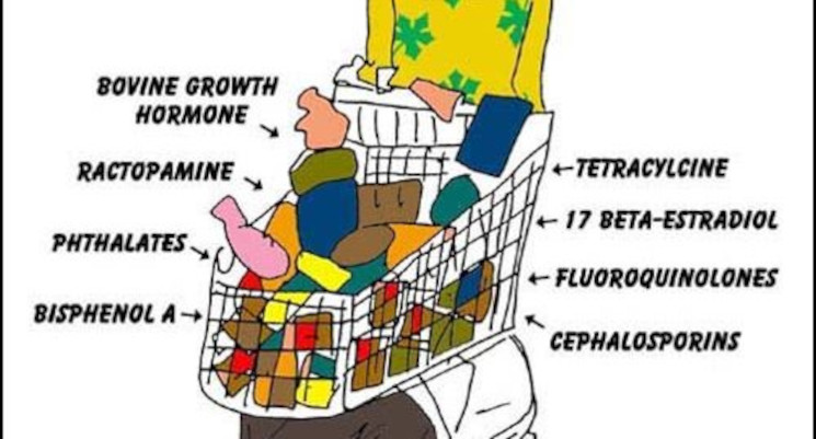 As Toxic Chemicals Engulf the Planet.. past time for a ‘Systems&nbsp;Reset’