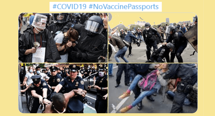 Daily Exposé UK banned from Twitter, shadow banned on Google.. see selection here + Anti Vax pass&nbsp;videos