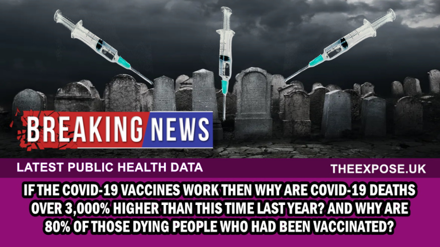 Covid Logic $$ : FDA Vaccine Panel reveals Shots are Killers,  then okays Biden’s Boosters for Old&nbsp;Folks!