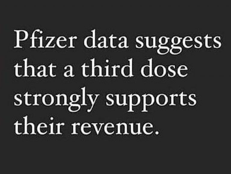 This image has an empty alt attribute; its file name is 7-photo_1934027-10-2021_02-48-48-768x578-1.jpg