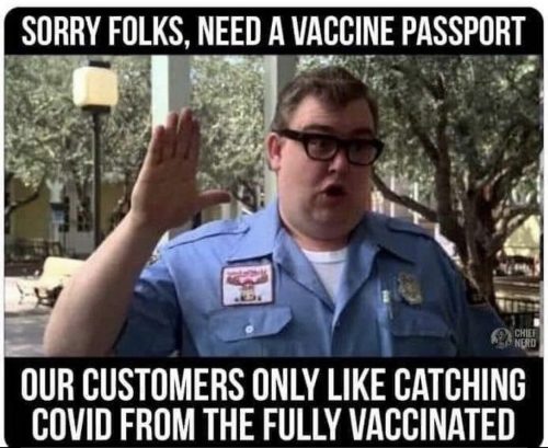 This image has an empty alt attribute; its file name is 6-photo_1324022-12-2021_02-12-24-500x409-1-2.jpg