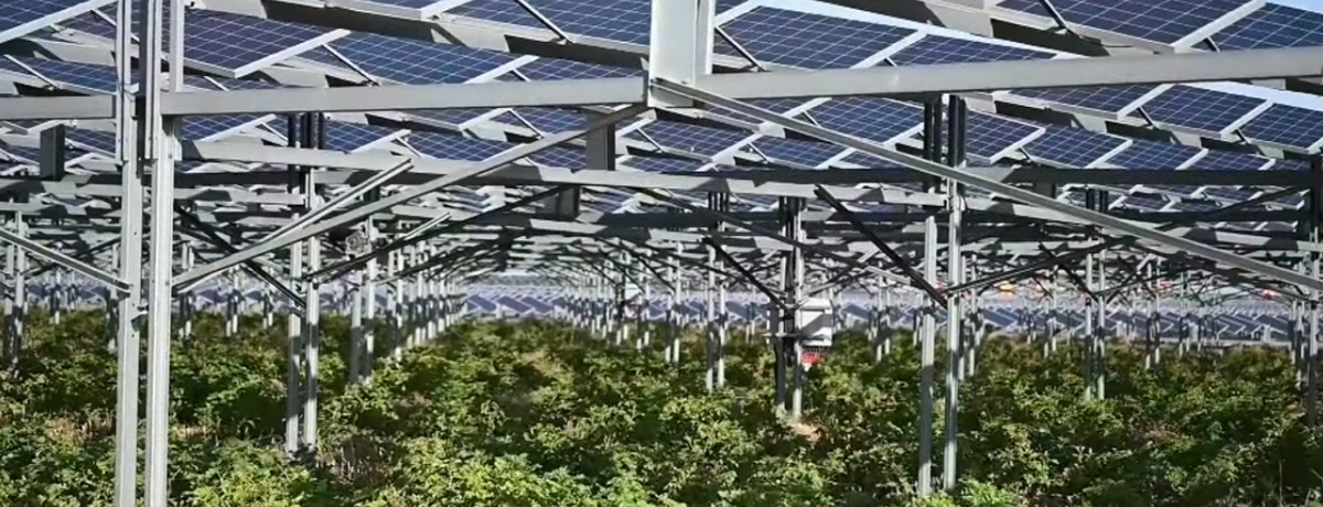 How China uses renewable energy to restore the&nbsp;desert